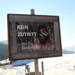 4 Genussadressen in Österreich die ihr kennen solltet