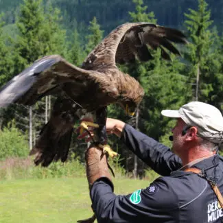 270 Alpentiere auf 1.100m Seehöhe – Ausflugstipp Wilder Berg Mautern